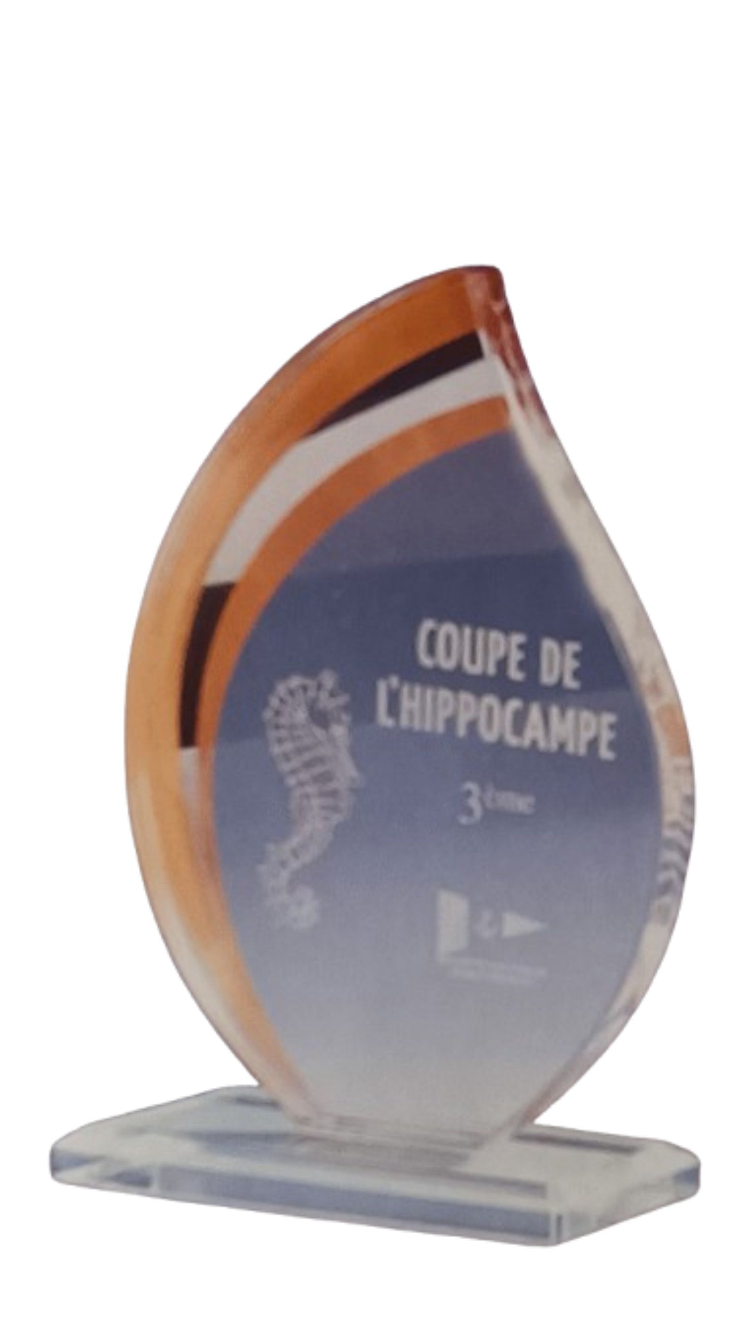 Trophée Personnalisé en Verre Flamme Or/Argent/Bronze - Réf. 24-170-01