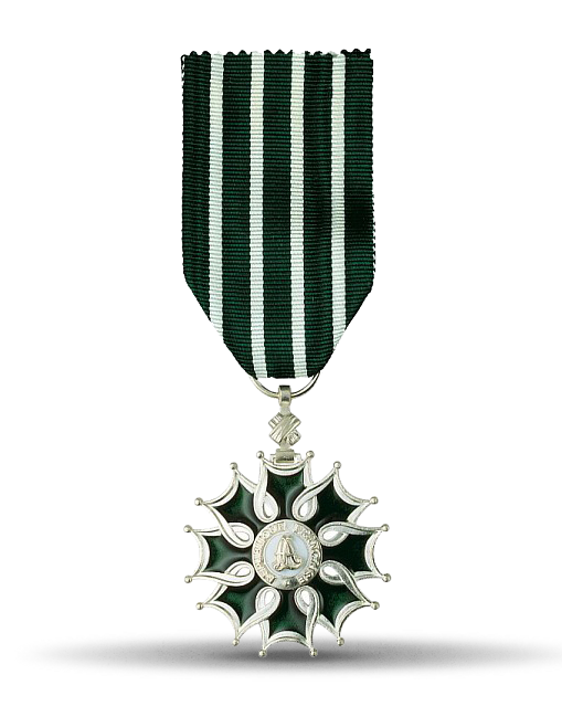 Médaille des Arts et des Lettres - Chevalier