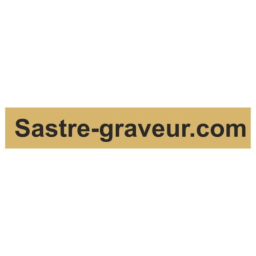 Plaque professionnelle PVC 30x5 cm