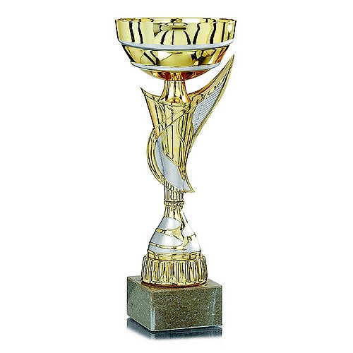 Coupe Or et Argent à Anses Design - Réf. 24-3461