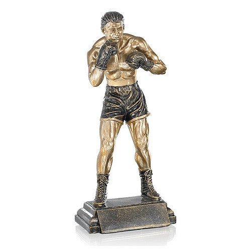 Trophée Boxe Bronze - Résine
