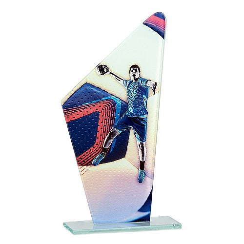 Trophée Handball avec joueur 22 cm - Verre