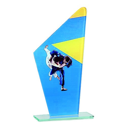 Trophée Judo avec des judokas 22 cm - Verre