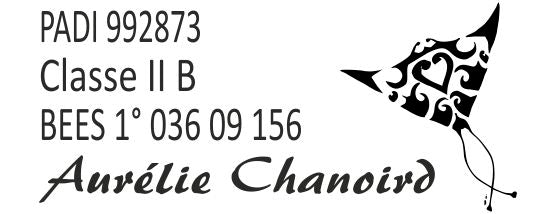 Tampon Personnalisé TRODAT Printy 4912 4 lignes - 47x18 mm