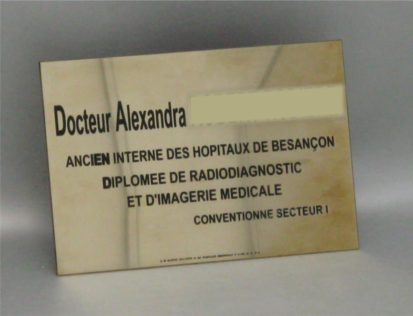 Plaque professionnelle Laiton 25x15cm