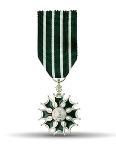 Médaille des Arts et des Lettres, Chevalier