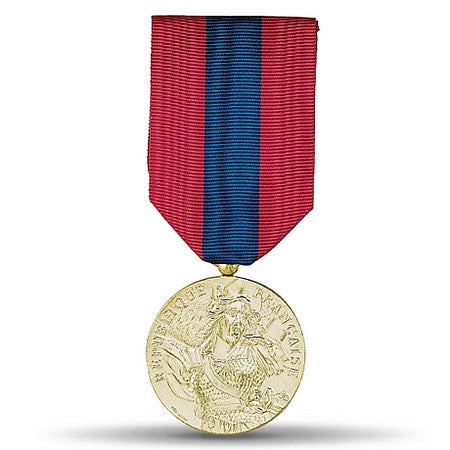 Médaille de la Défense Nationale, classe Bronze