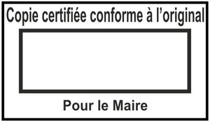 Pour TRODAT 5430, SHINY E-910 ou COLOP 2160
